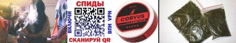 БУТИРАТ 99%  дарнет шоп  кракен зеркало  shop наркотические препараты  Елизаветинская 