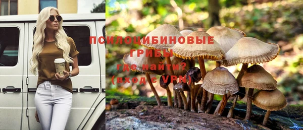 гидра Верхнеуральск